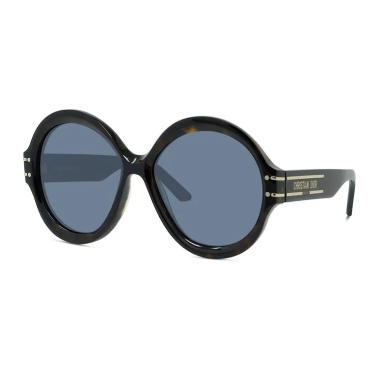Ladies Brown Round Sunglasses DIORSIGNATURER1U 20B0