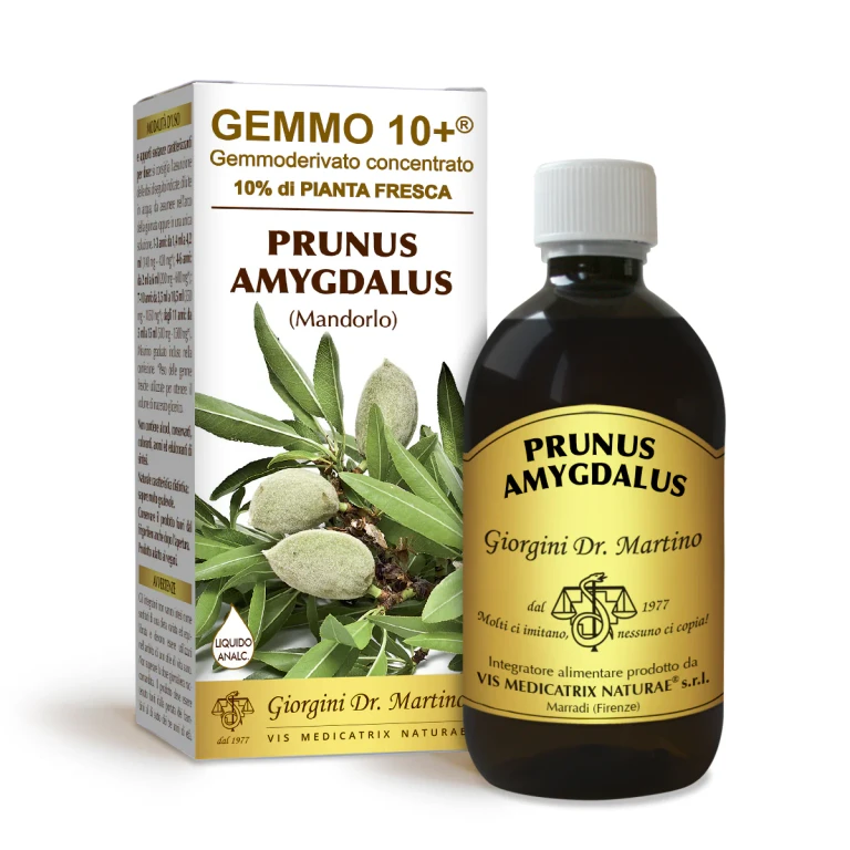 gemmo 10+ almond 500 ml non-alcoholic liquid