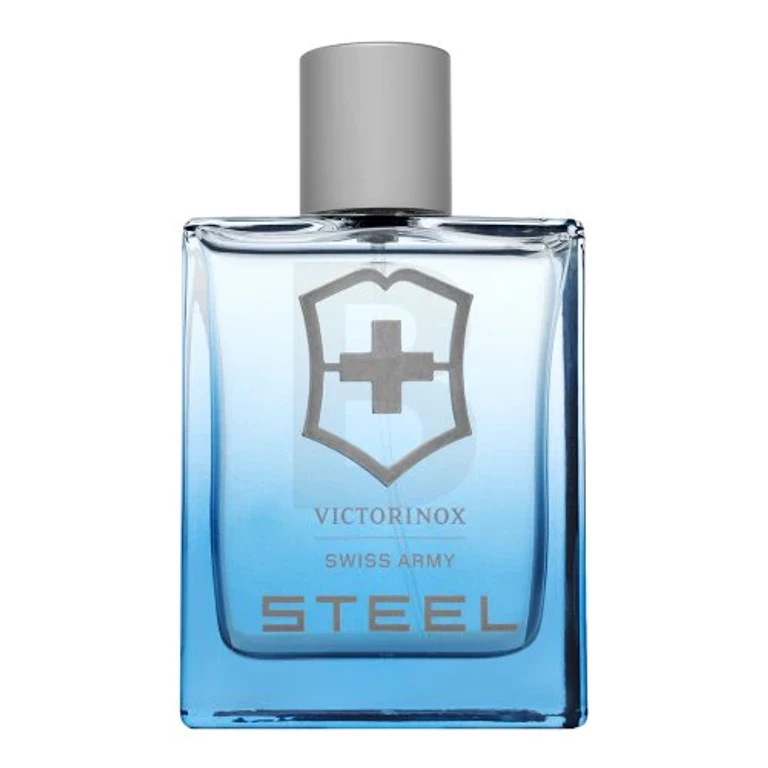 Steel EDT M 100 ml