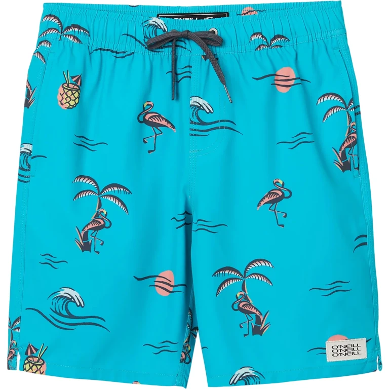 Hermosa Volley Boardshorts 16" - Boys
