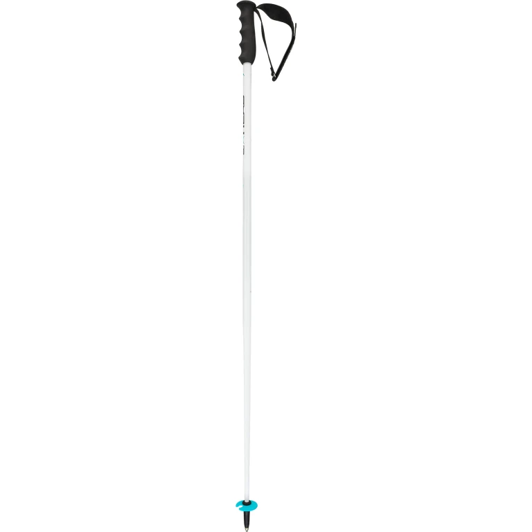 Worldcup SL Poles
