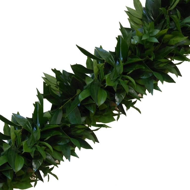 Garland, Cocculus & Italian Ruscus, 10 ft.:- 10 ft.