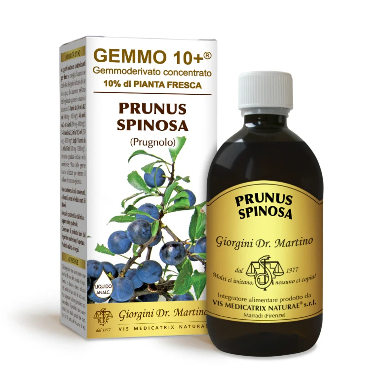 gemmo 10+ blackthorn 500 ml non-alcoholic liquid