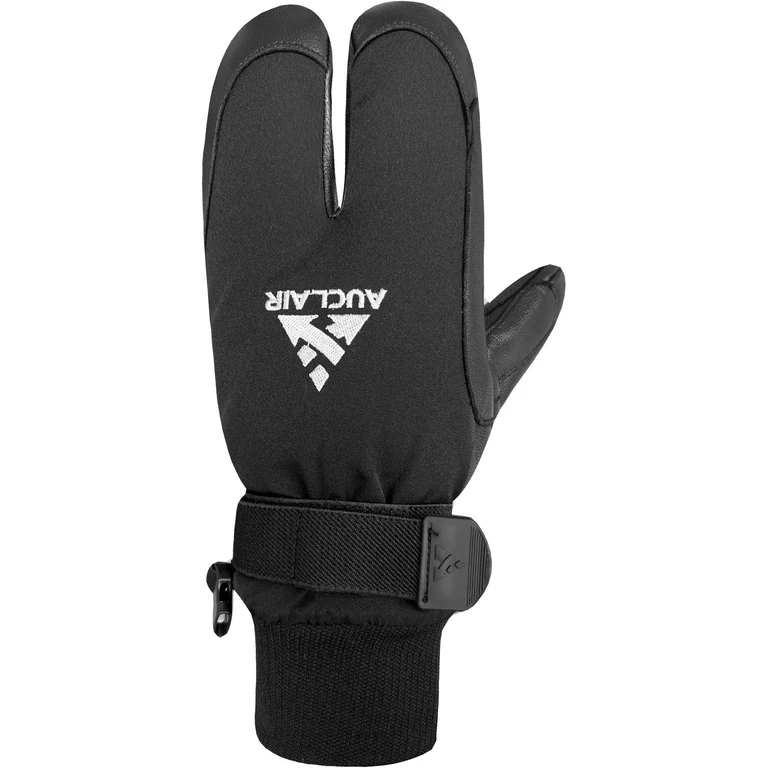 WWPB Gigatex 2-Finger Mittens - Women's