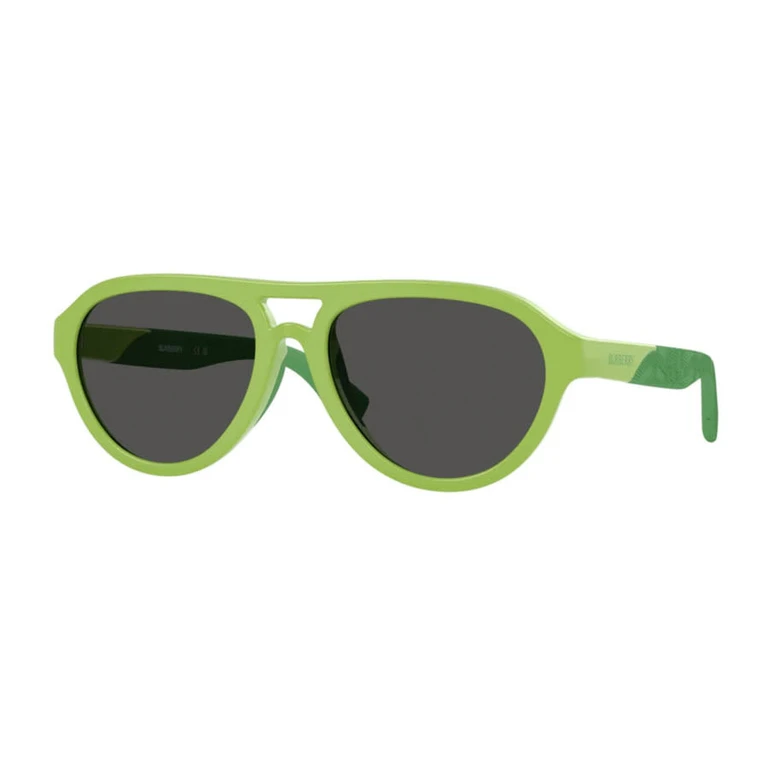 Boys Black Aviator Sunglasses JB4005U 418287