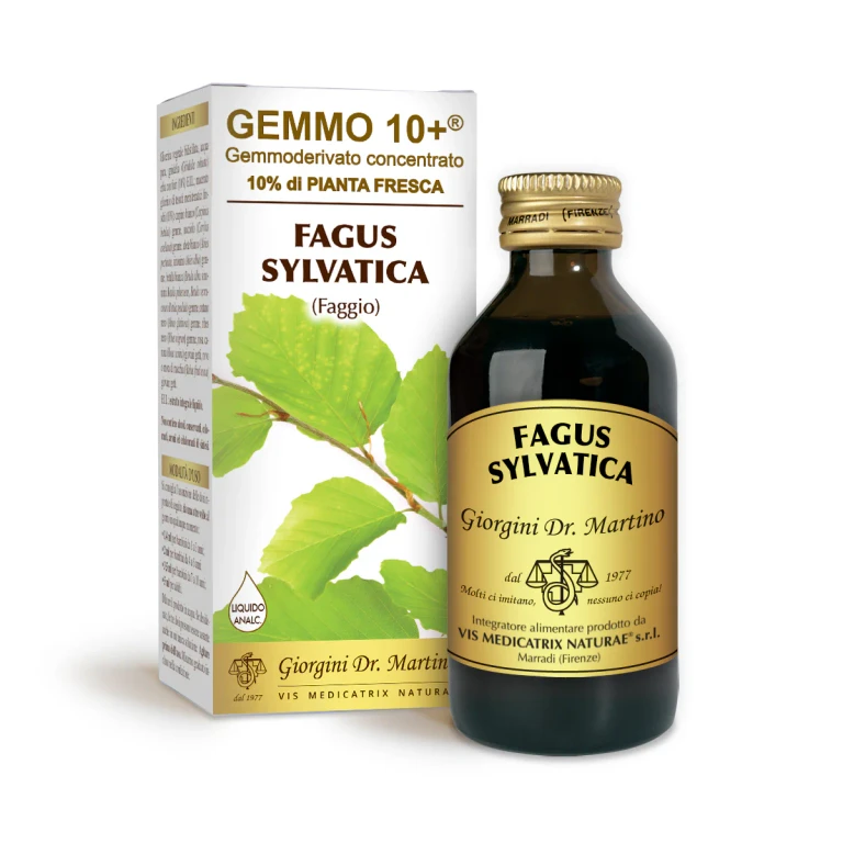 gemmo 10+ beech 100 ml non-alcoholic liquid