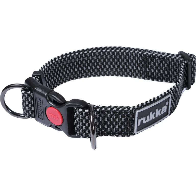 Star Dog Collar - Large