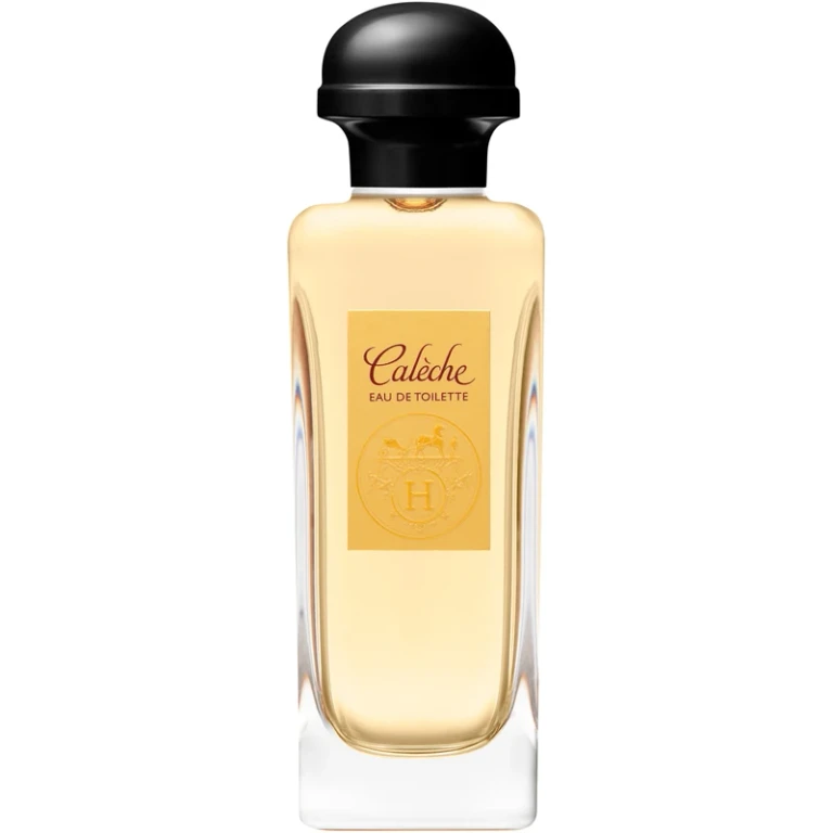 Hermes Caleche EDT W 100 ml