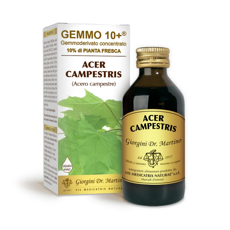 gemmo 10+ field maple 100 ml non-alcoholic liquid
