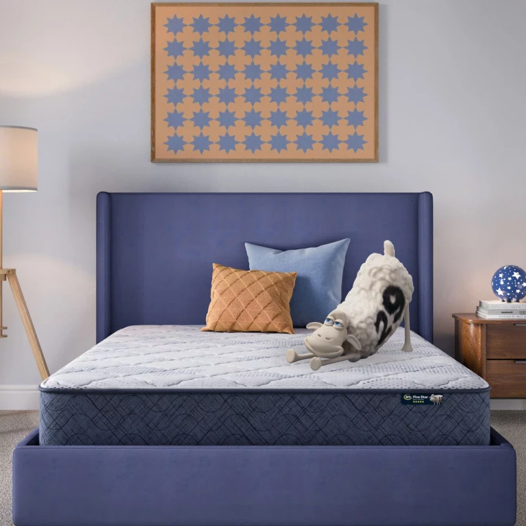 Five Star Mattress Sleepscape 10' Plush Pillow Top:- Queen, Medium