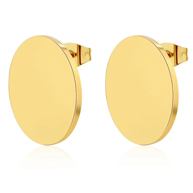 Elegant Steel Earrings Elysium Sum26