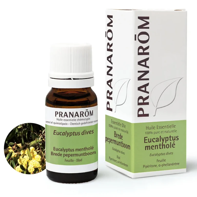 Essential Oils Eucalyptus Mint 10ml