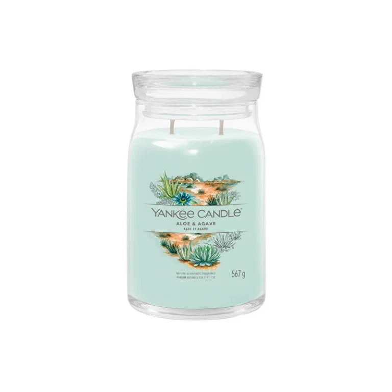 Signature Scented Candle in Large Glass Aloe E Agave 567 G