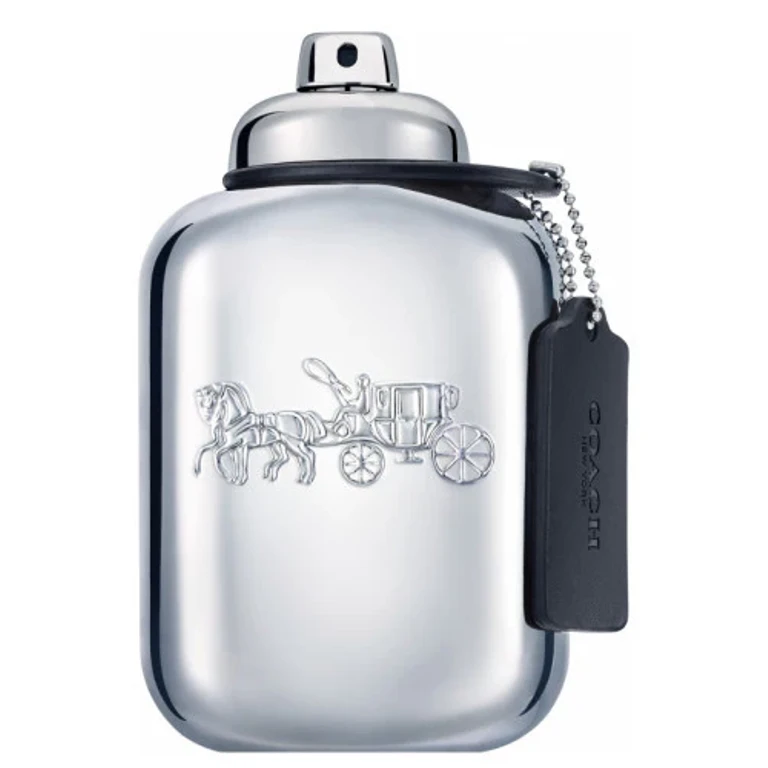 Platinum - EDP - Volume: 60 ml