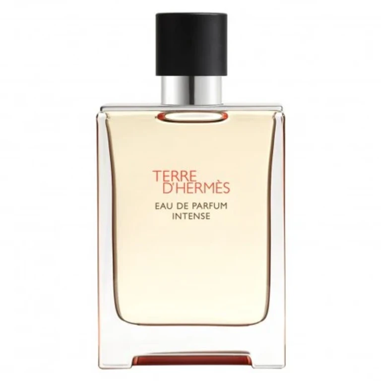 Terre D'Hermes - Intense Eau De Parfum 100 Ml