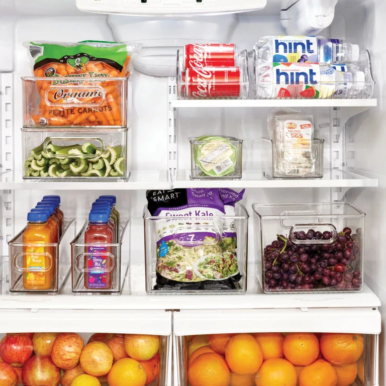 10-Piece Fridge + Freeze Storage Bin Starter Set