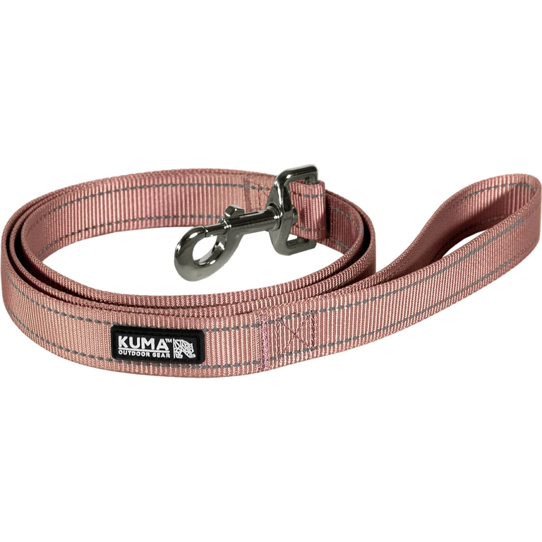 Lazy Bear Dog Leash