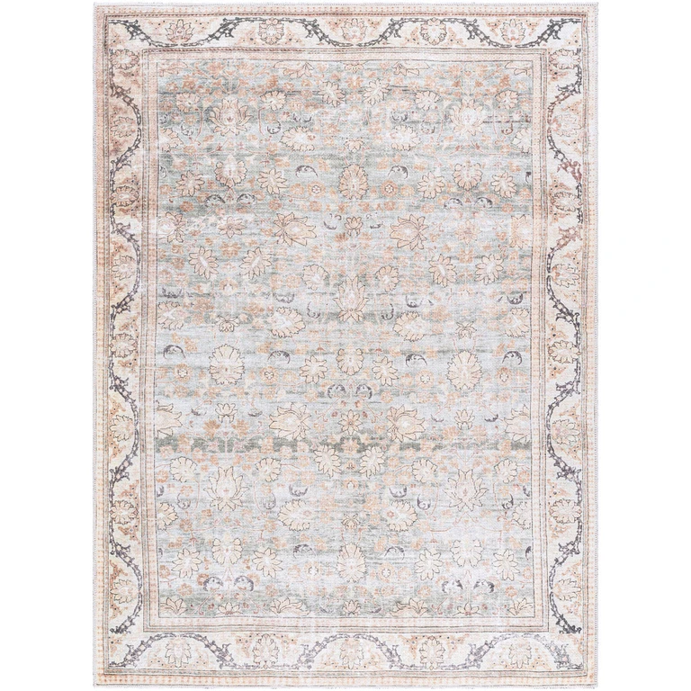8x10 Amelie Area Rug:- 8'x10', Multi
