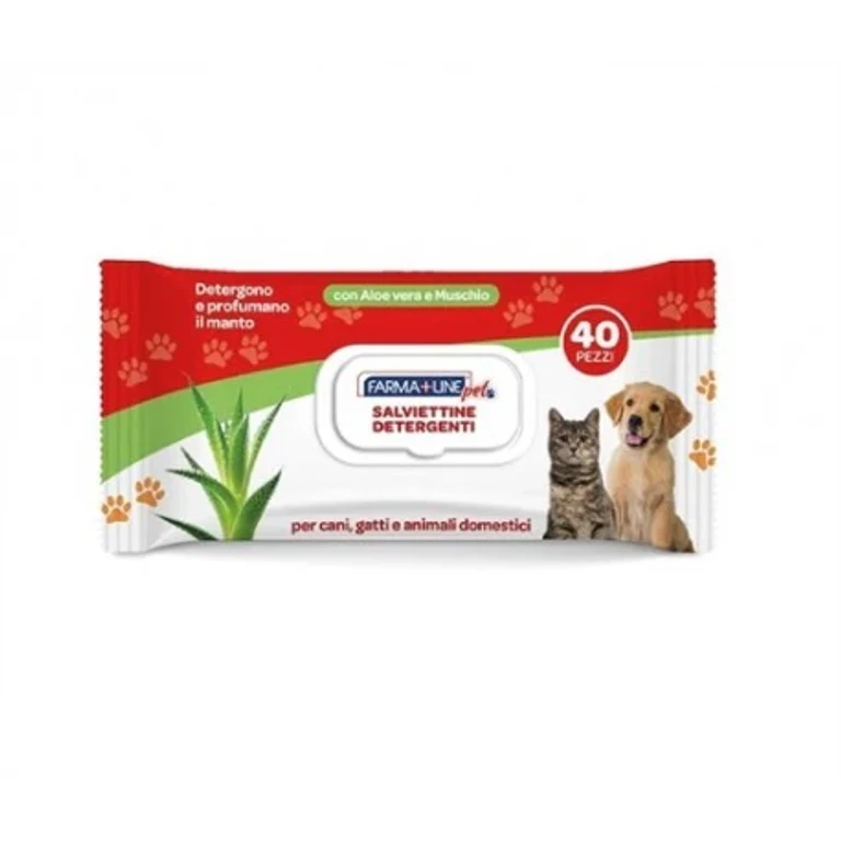 Scented Wipes 40 Pieces