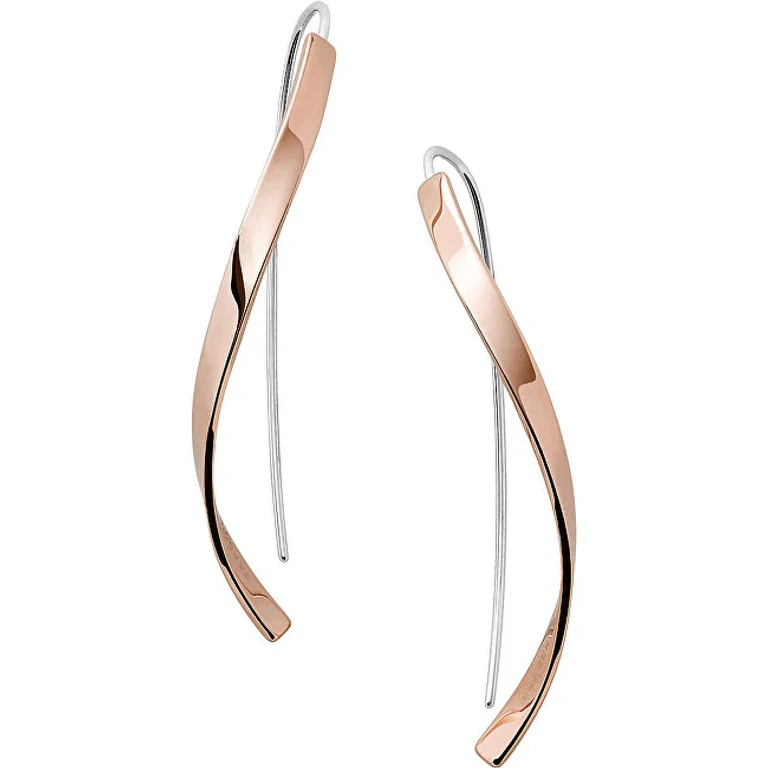Two-Tone Luxury Steel Earrings Skj1328791