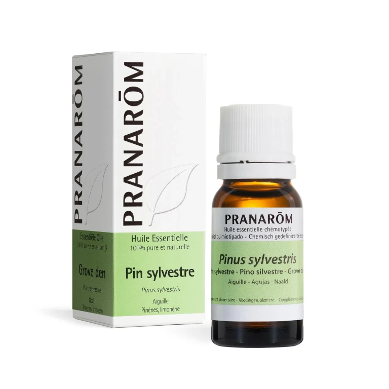 Essential Oils Pine Sylvester Essential Oil 10ml