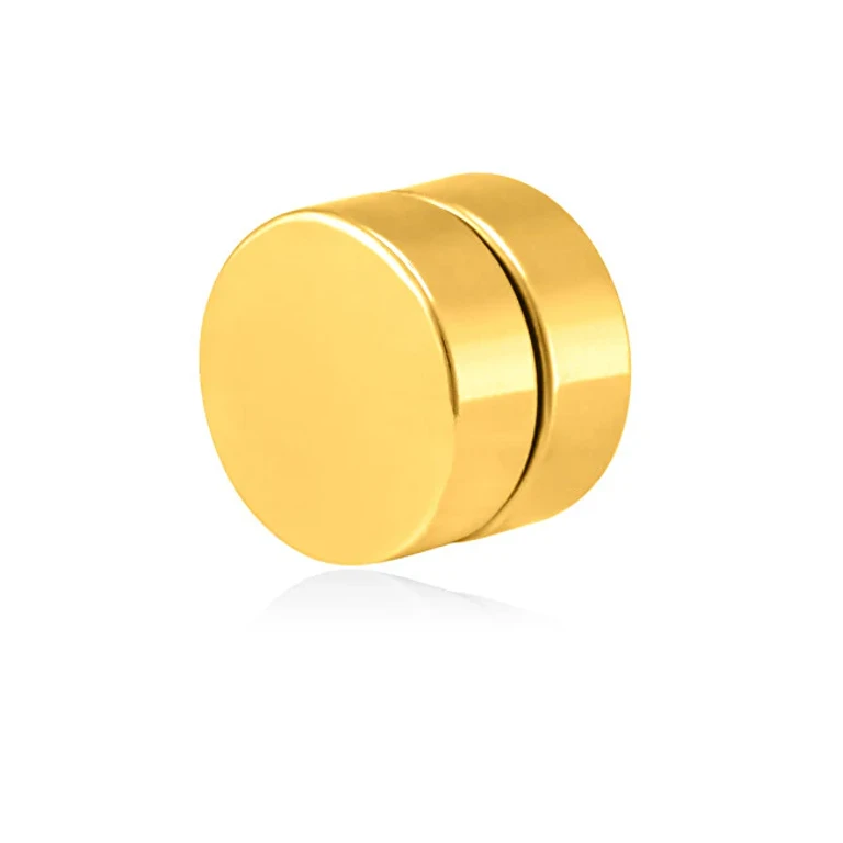 Single Magnetic Earring Gold Plated 2 In 1 (Stone, Mini Brooch) Vse6018G-Pet