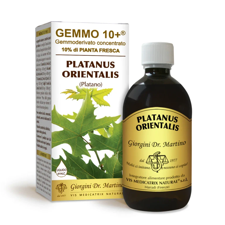 gemmo 10+ plantains 500 ml non-alcoholic liquid