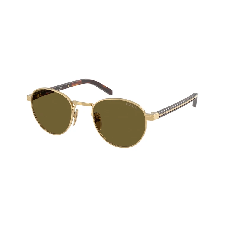 Brown Round Ladies Sunglasses PR B52S 5AK09Z 49