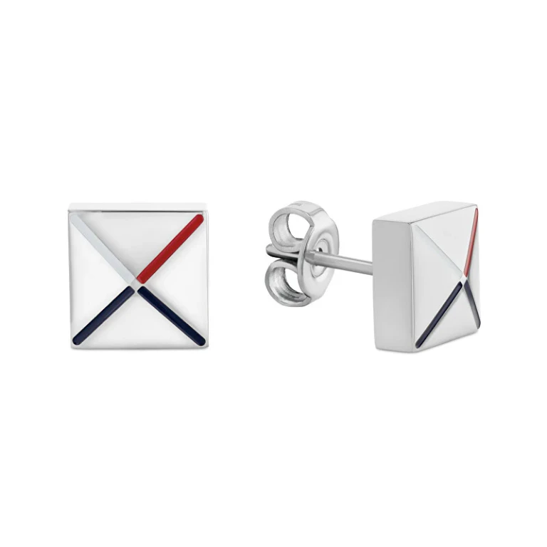 Elegant Steel Earrings 2780915