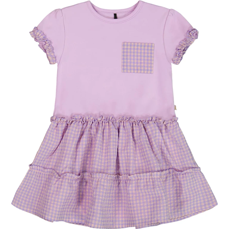 Bi-Material Dress with Ruffle Gingham Skirt - Little Girl