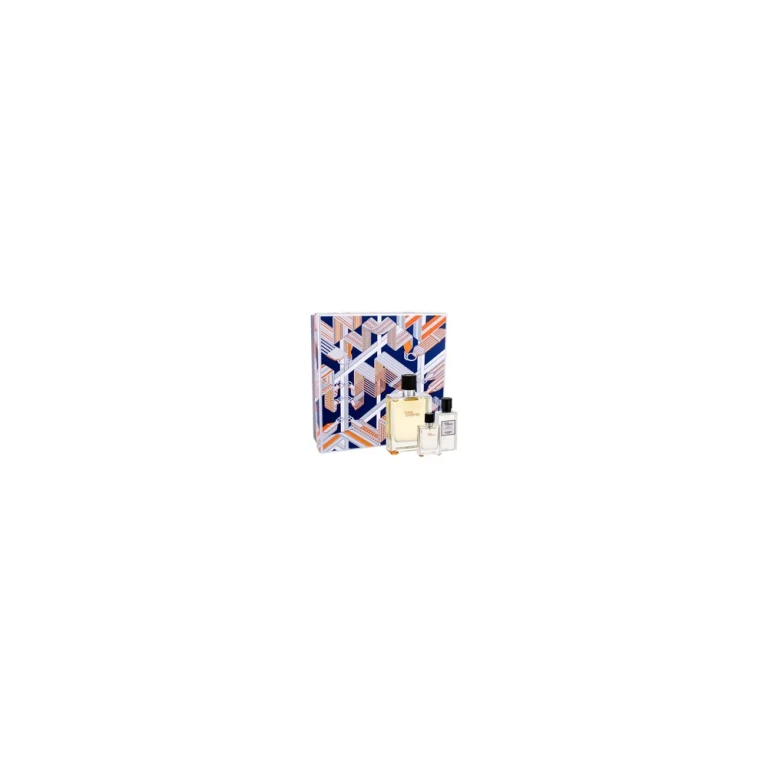 Hermes Box gift box Terre D'Hermes Eau de toilette 100 ml, Aftershave Terre D'Hermes 40 ml and miniature