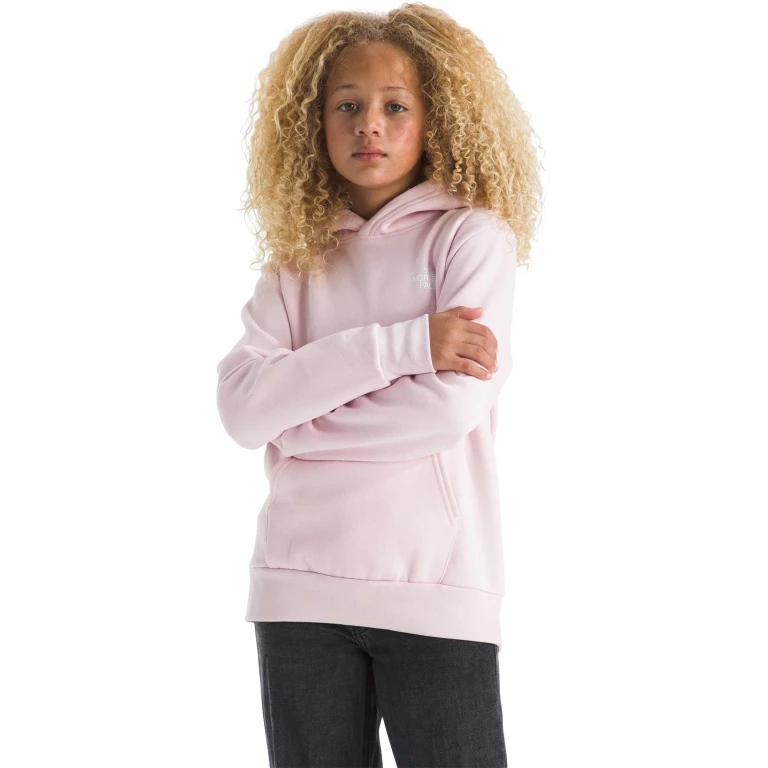 Evolution Box NSE Graphic Pullover Hoodie - Kids