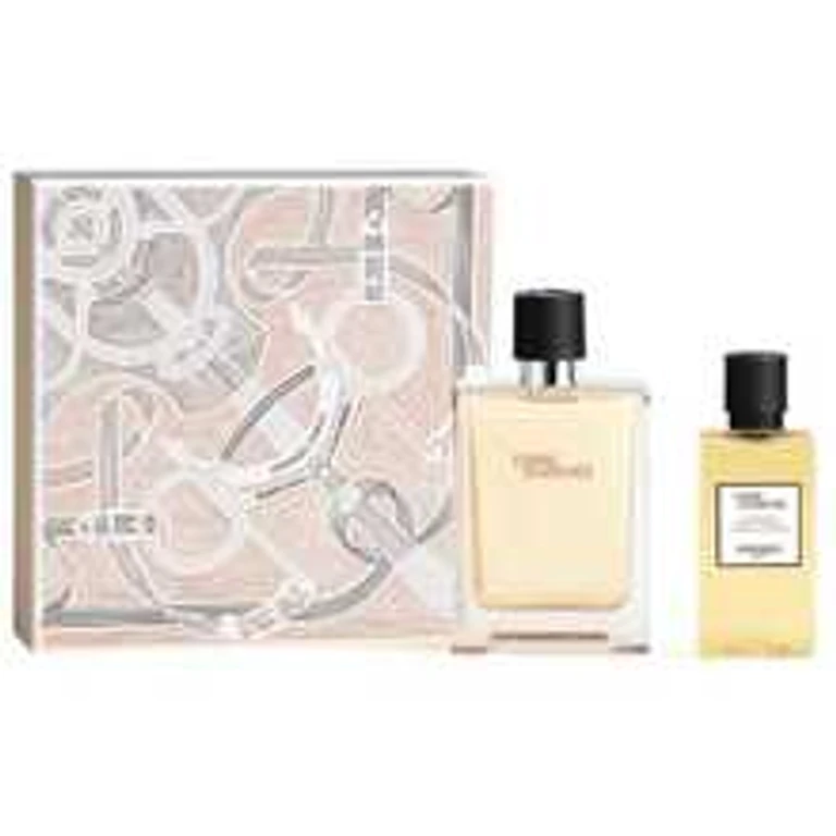 Hermes Terre D'Hermes gift box idea Eau de toilette 100 ml and shower gel 80 ml - 100 ml