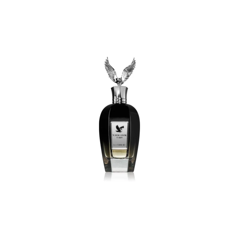 Navigator Paris Eau de Parfum for men 120 ml