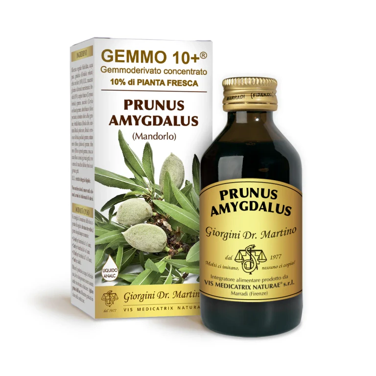 gemmo 10+ almond 100 ml non-alcoholic liquid