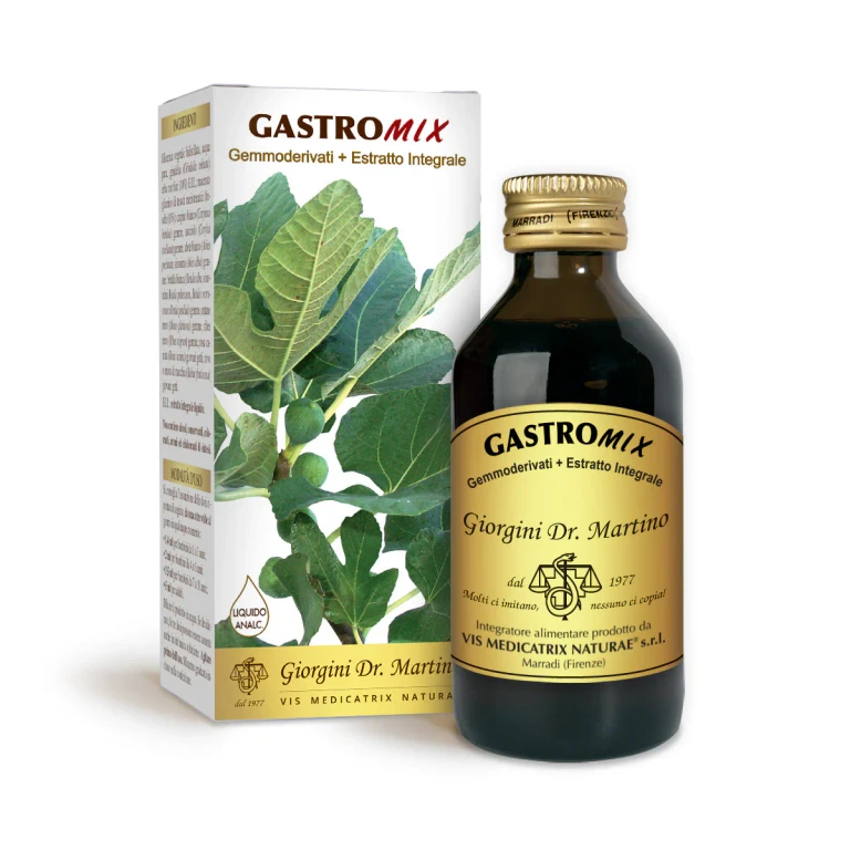 gastromix 100 ml non-alcoholic liquid