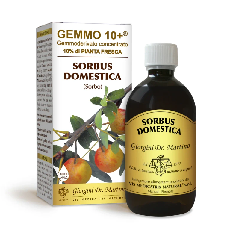 gemmo 10+ rowan 500 ml non-alcoholic liquid