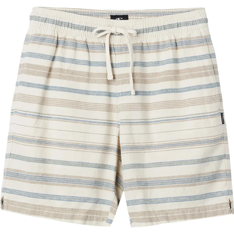 Low Key Stripe Woven Shorts - Men's
