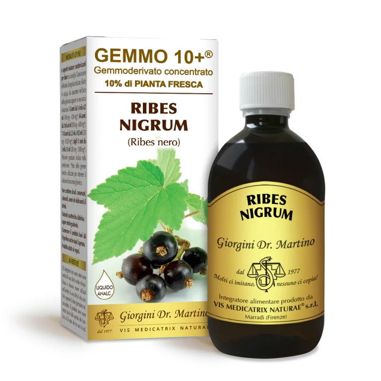 gemmo 10+ blackcurrants 500 ml non-alcoholic liquid