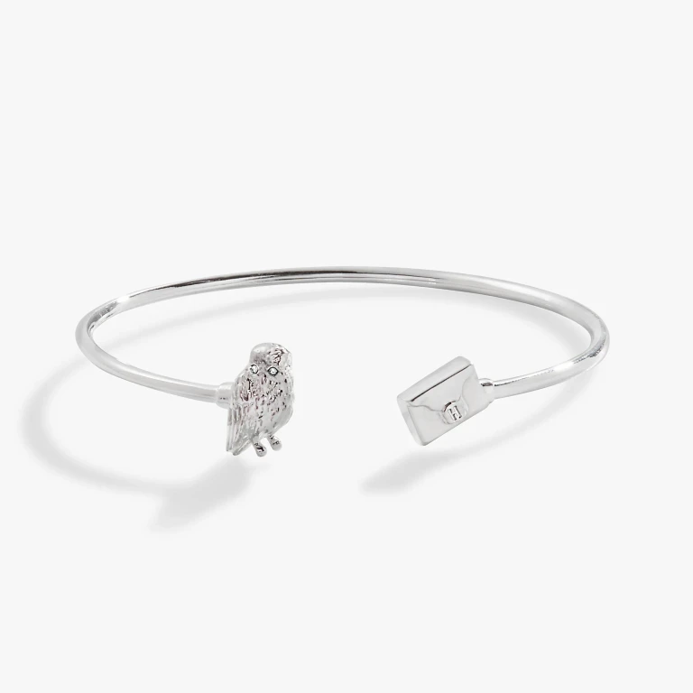 Harry Potter Hedwig + Letter Flex Cuff