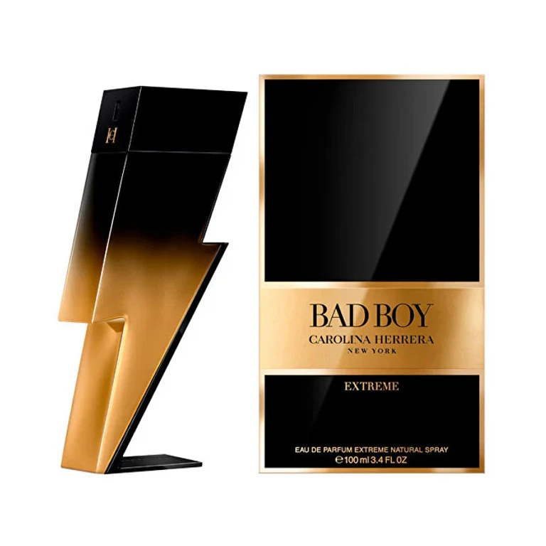 Bad Boy Extreme - EDP - Volume: 100 ml