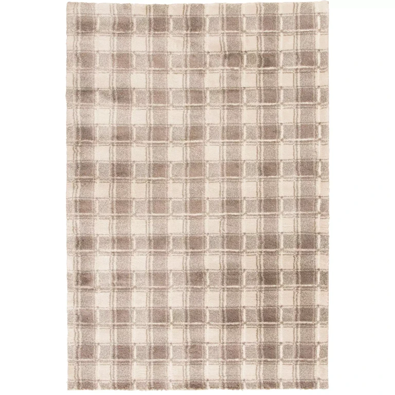 Cozy Plush Area Rug, Assorted Designs and Sizes:- 9'10'x12'10', Almond/Zinc