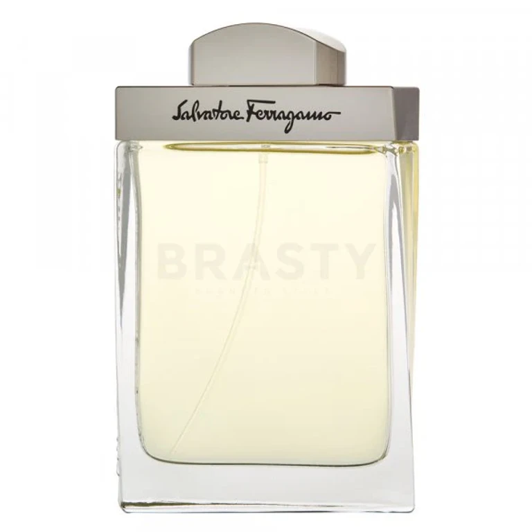 Savior Ferragamo Pour Homme EDT M 100 ml