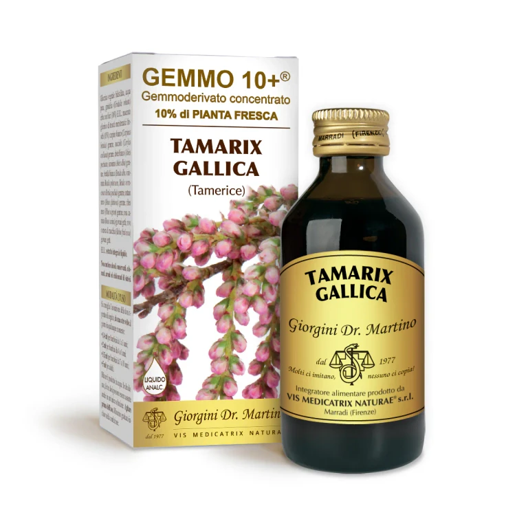 gemmo 10+ 타마리스크 100ml 무알코올 액상