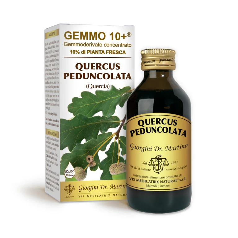 gemmo 10+ oak 100 ml non-alcoholic liquid