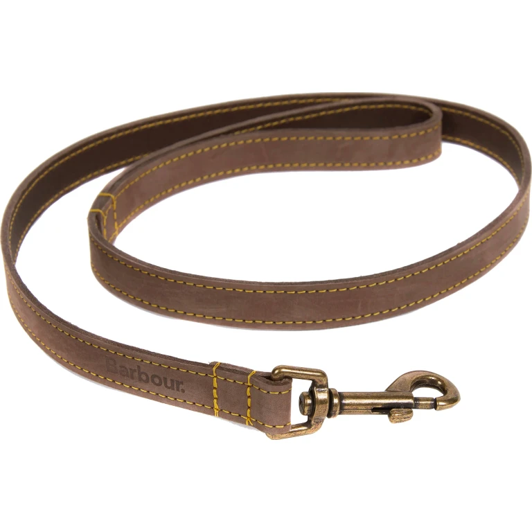 Leather Dog Lead