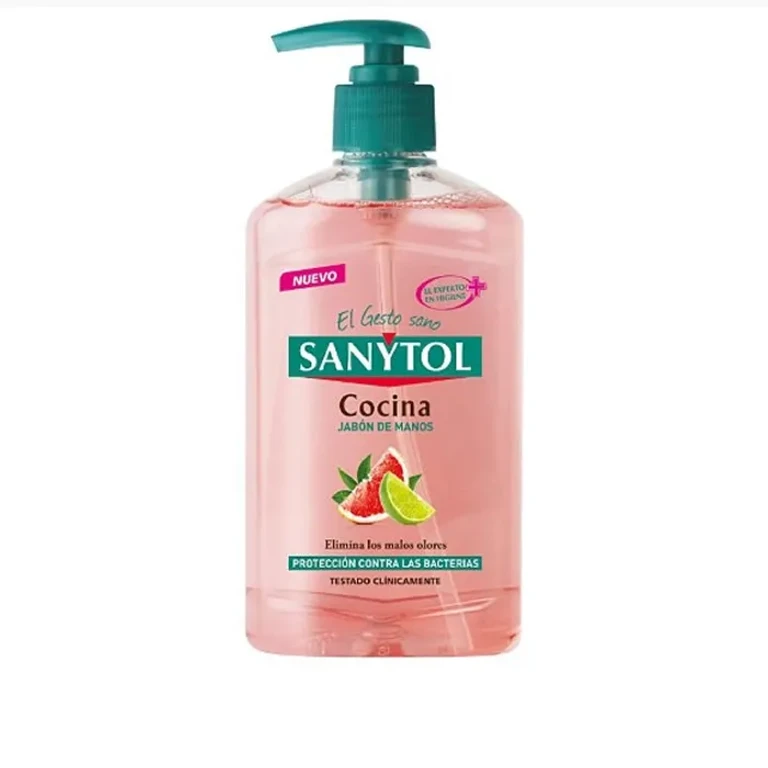 Kitchen hand soap Sanytol 250 ml