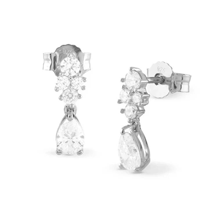 Sparkling Silver Earrings Jardin Jsbe04496Jwrht/U