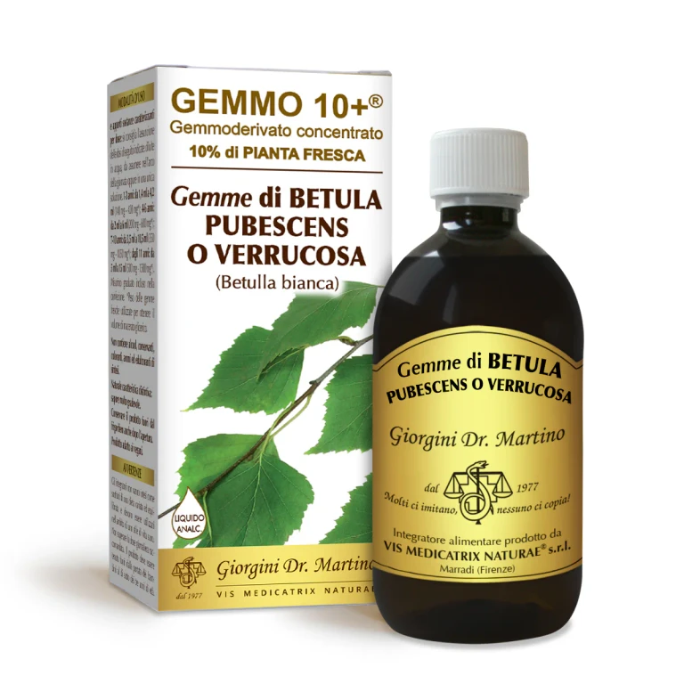 gemmo 10+ White Birch Buds 500 ml non-alcoholic liquid