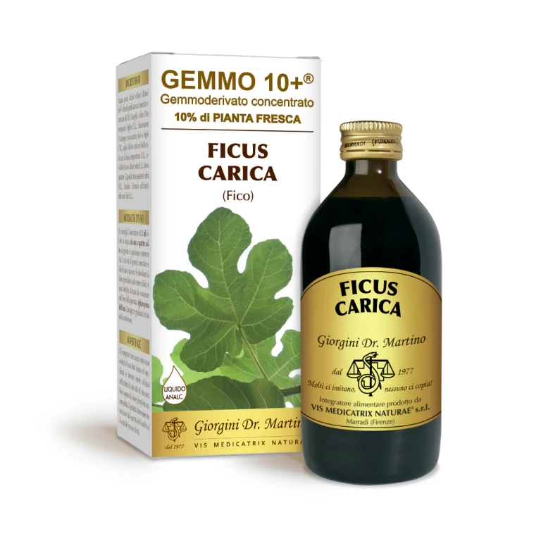 gemmo 10+ fig 200 ml non-alcoholic liquid